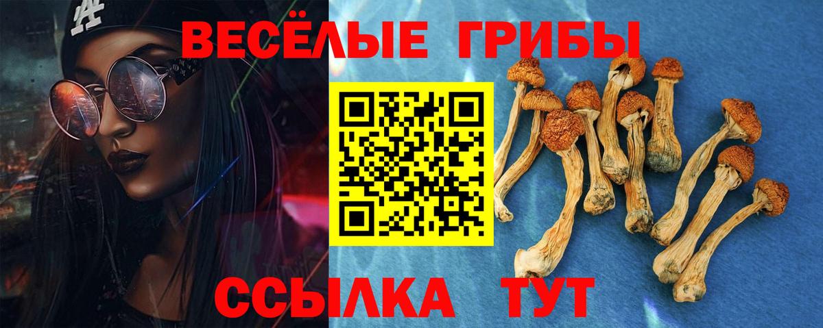 Псилоцибиновые грибы Magic Shrooms  Вход с VPN  Шелехов 