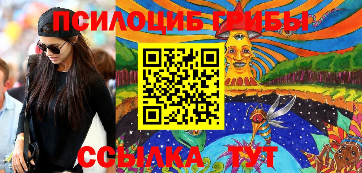 Галлюциногенные грибы Cubensis Шелехов